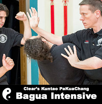 Baguazhang Intensive