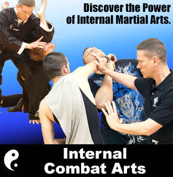 Internal Combat Arts Course