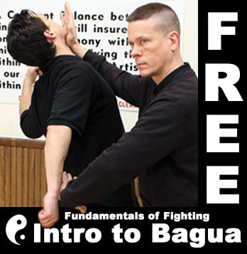 Baguazhang Intensive