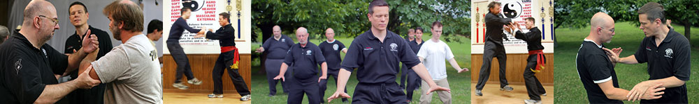 Free Online Tai Chi / Qigong Course