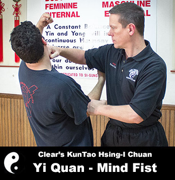 Advanced Xing Yi: Yiquan Intensive