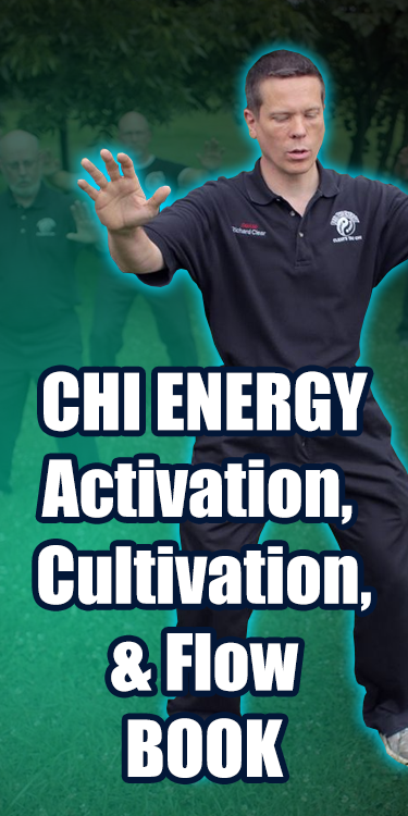 Chi Energy: Activation, Cultivation, & Flow BOOK